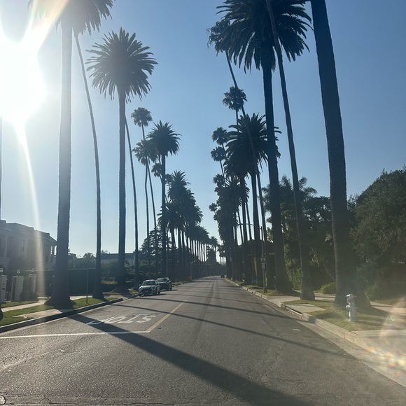 Meet your Posher, Danielle - Picture 1 of 1